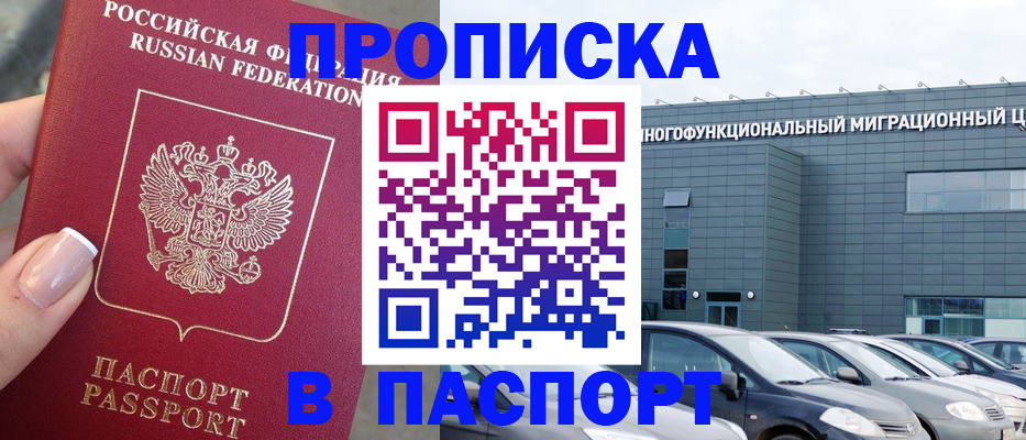 прописка для школы в Бородино